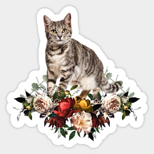 Flowers Cat Cute Cat Collage Illustration Sticker